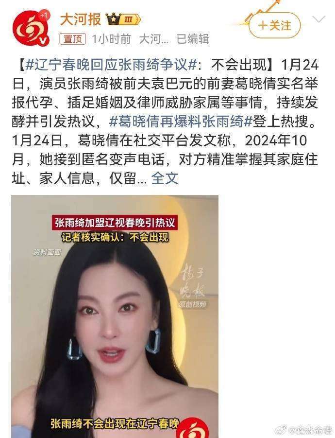 张雨绮风波：代孕与插足婚姻的伦理挑战