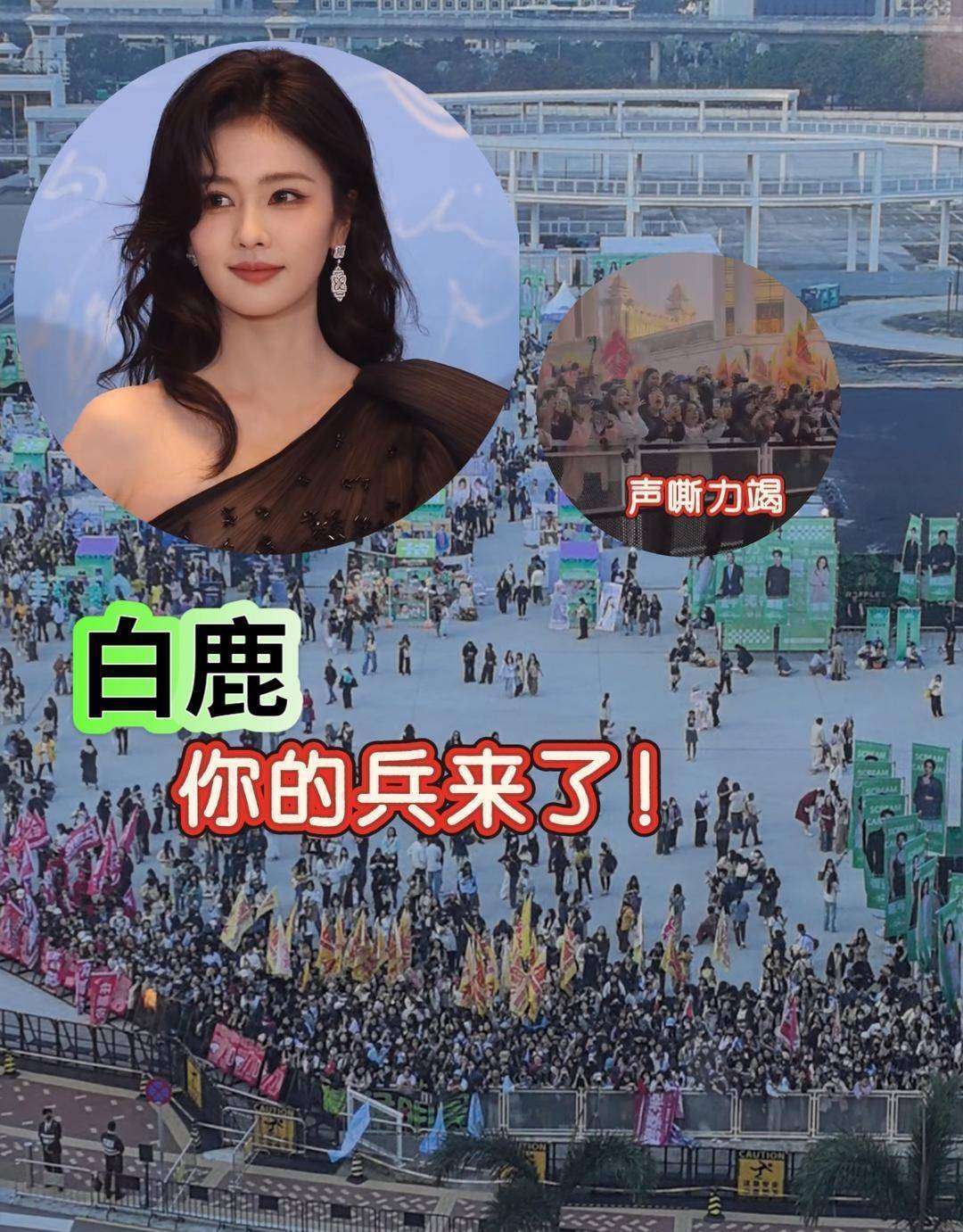 小城女孩事件回应,引发广泛关注
