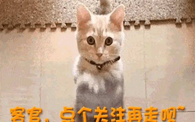 白鹿风波升级 十万红包难买路人缘