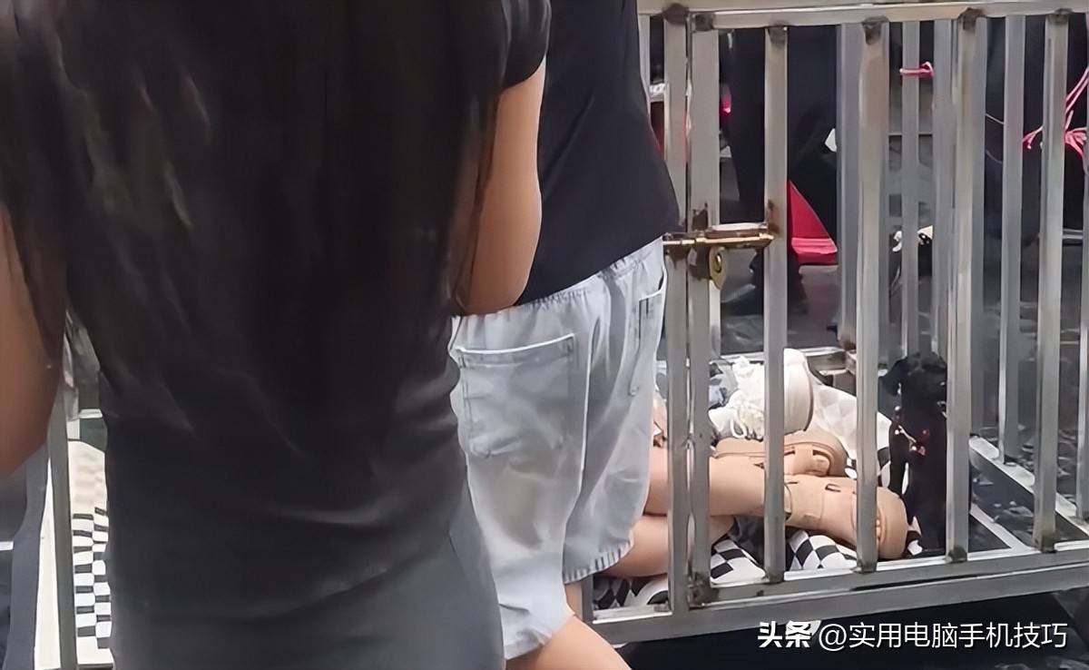 湖南浸猪笼后续:8人刑拘,路人误会