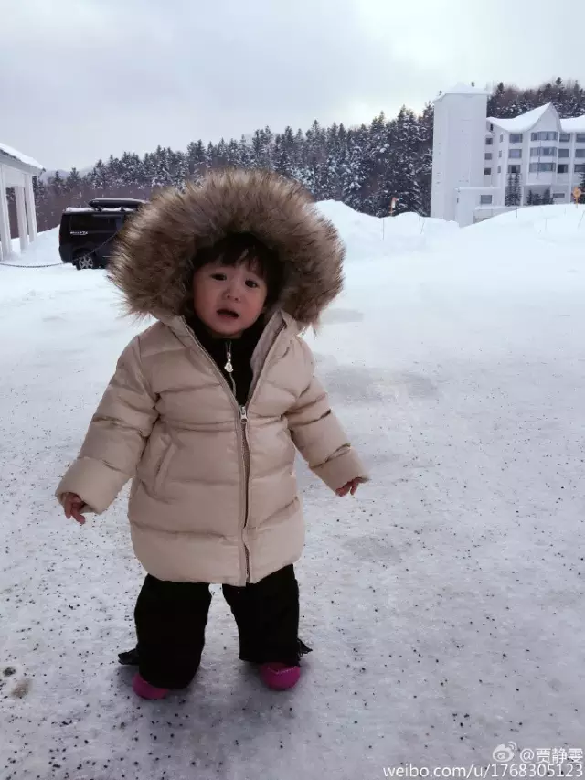 贾静雯下月生三胎 曾为梧桐妹手撕前夫