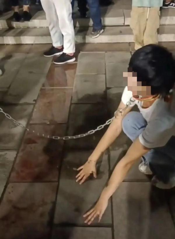 低俗直播整治:主播遛狗泼墨被拘,社会道德底线不容挑战