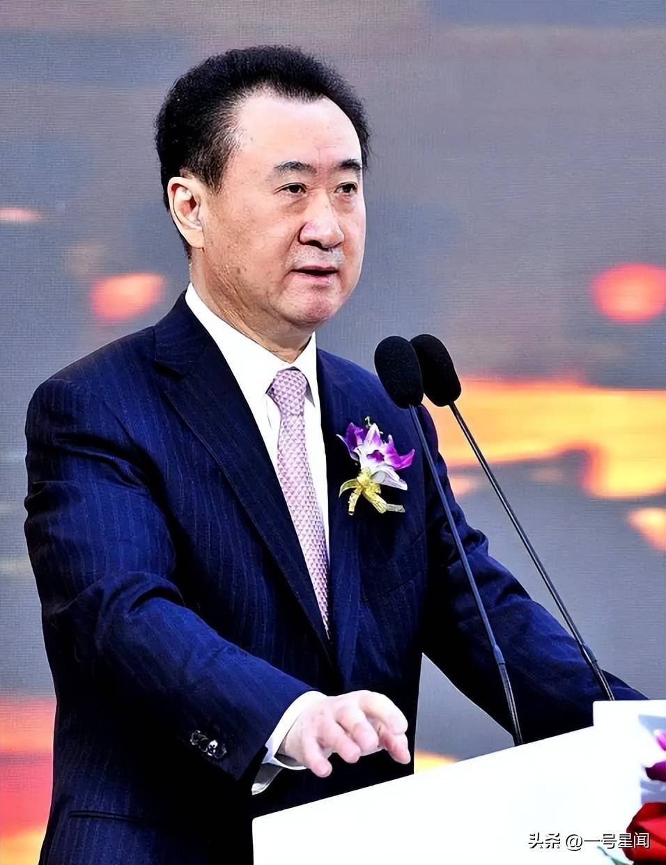 王健林再添新债务,家庭事务引关注
