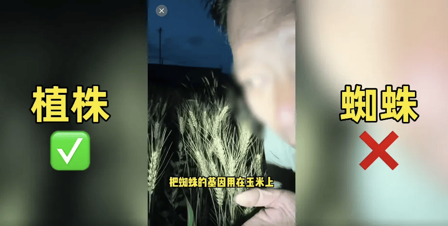 离谱！200万网红造谣袁隆平杂交水稻害人