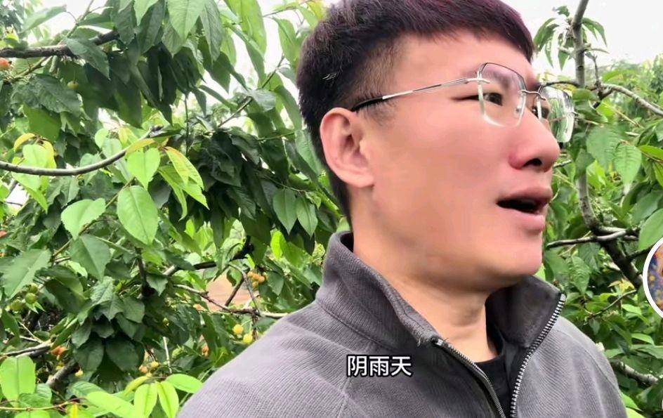 杨二狗分手费反转,河南女友再曝黑历史