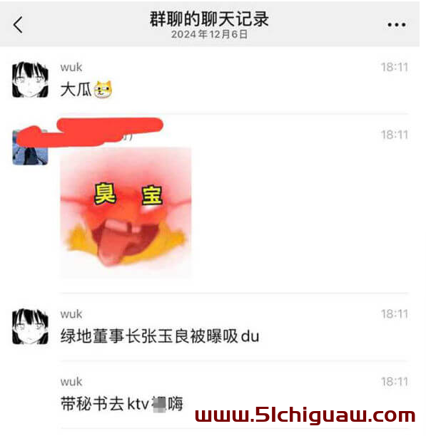 绿地集团张玉良：谣言与真相的边界